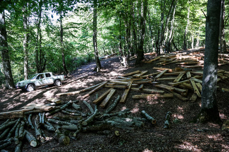 جولان چهار بحران زیست محیطی در ایران